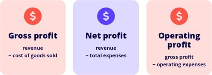 What does profit incentive mean?