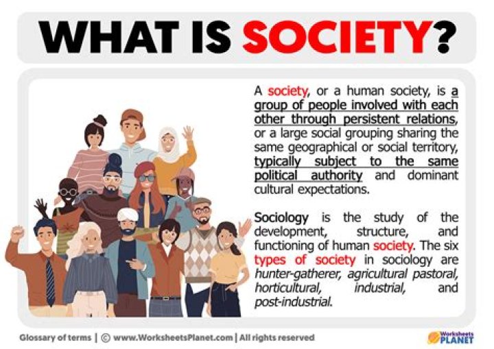 What does the MS Society help with?