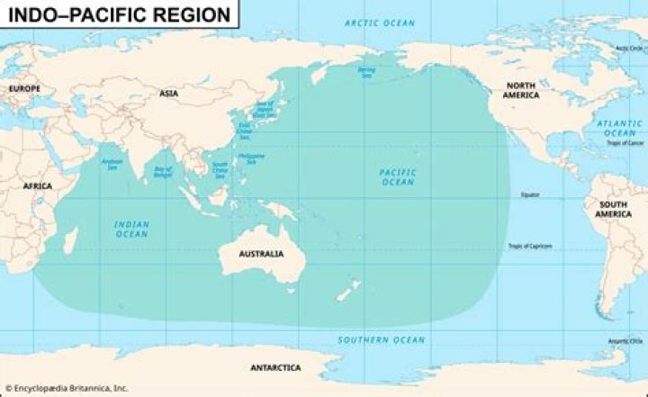 What does the Pacific region produce?