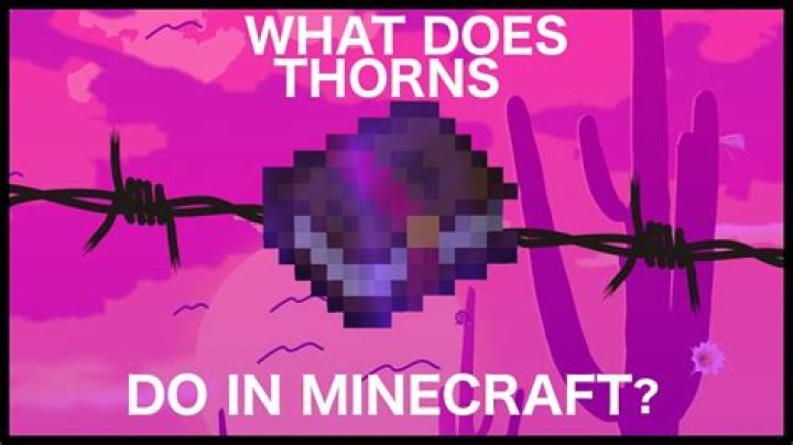 What does thorns do in Minecraft?