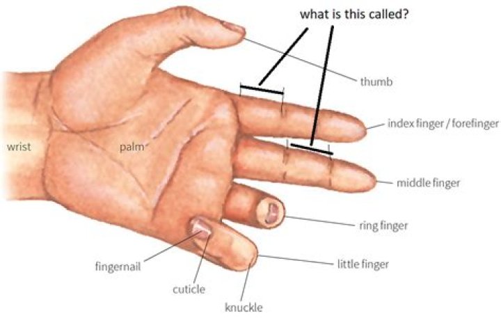What does thumb index and middle finger mean?
