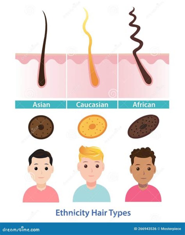 What ethnicity has thick hair?