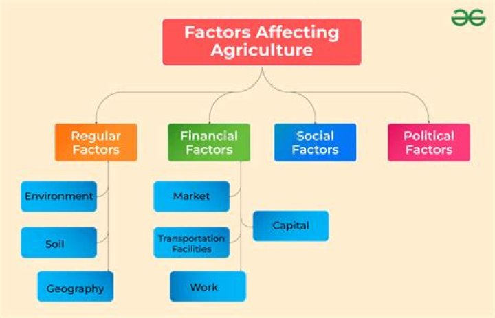 What factors affect instrument selection?