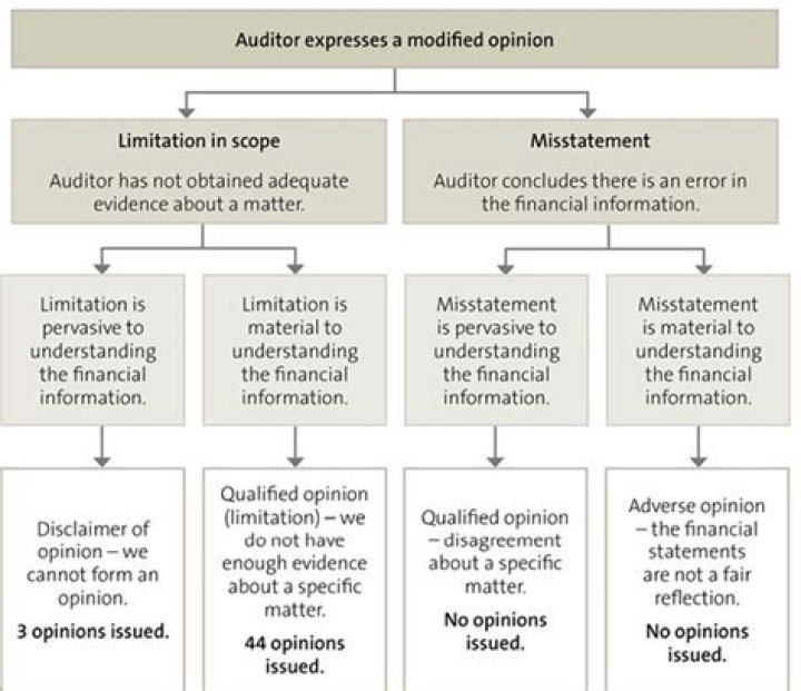 What happens when an auditor finds a mistake?
