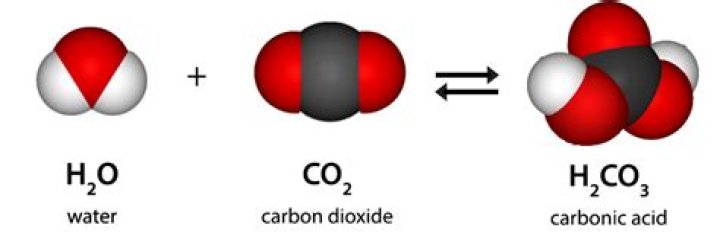 What happens when CO2 meets a flame?