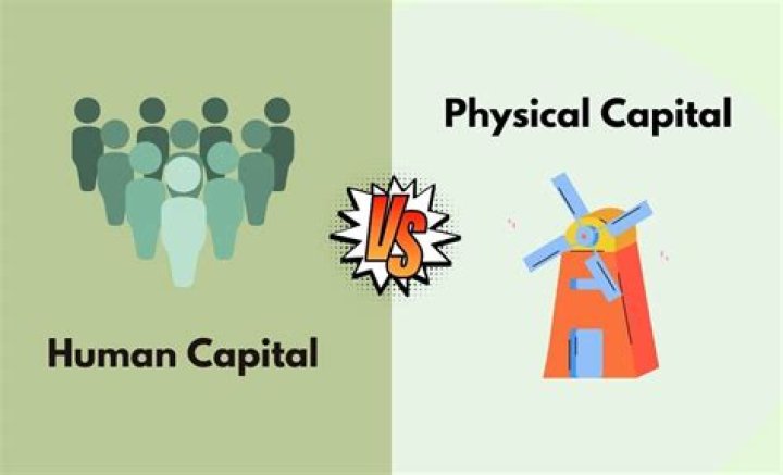 What increases human capital?