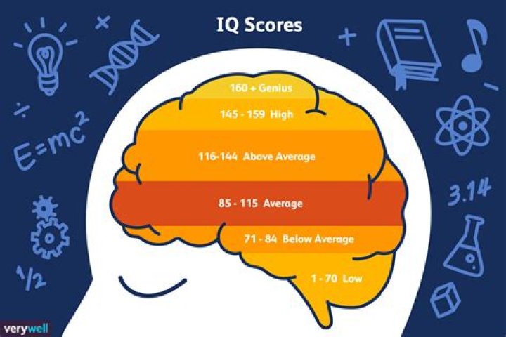 What IQ means?