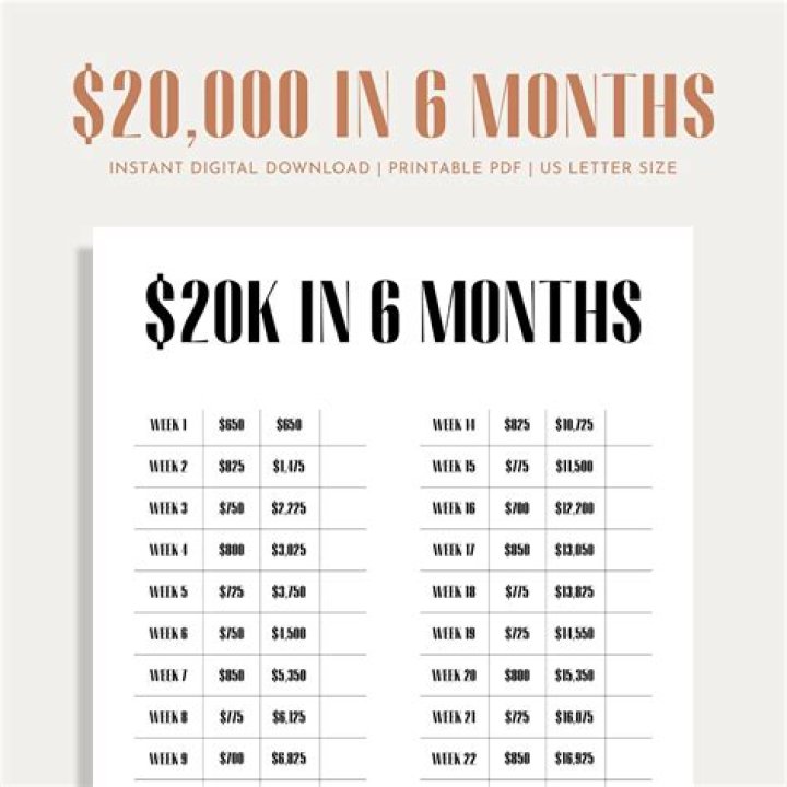 What is a 3rd of 20000?