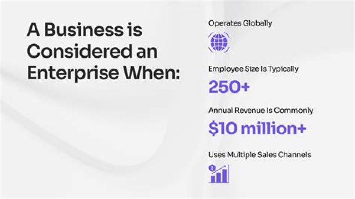 What is a business enterprise definition?
