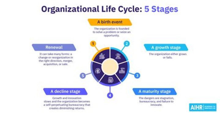 What is a CNE organization?