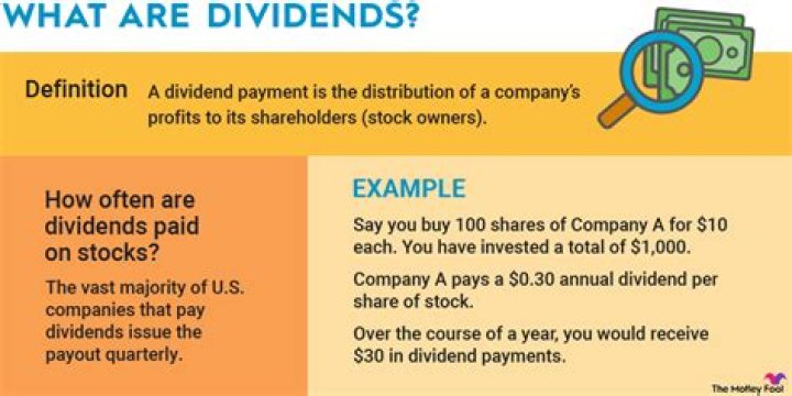 What is a dividend simple definition?