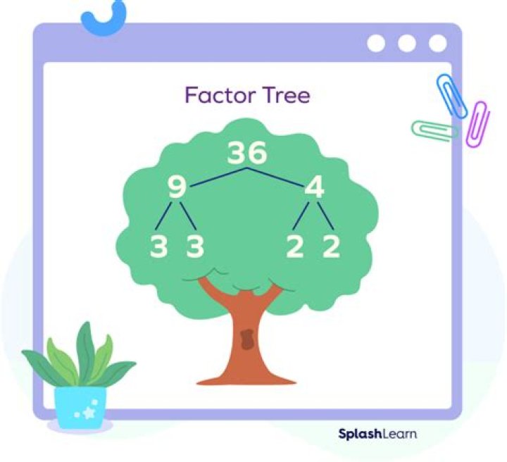 What is a factor tree called?
