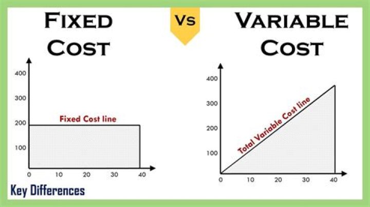 What is a fixed variable?