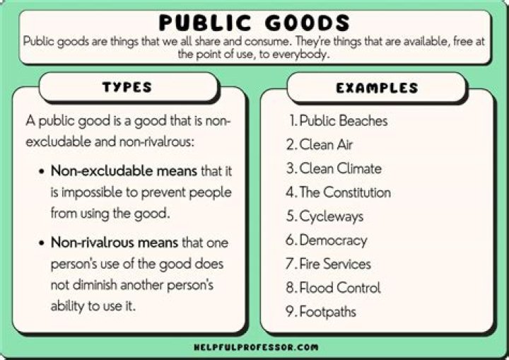 What is a good example of a public good?
