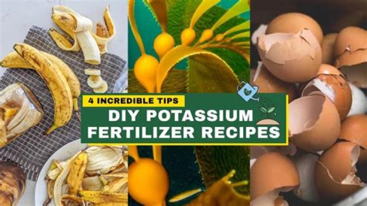 What is a good natural fertilizer?