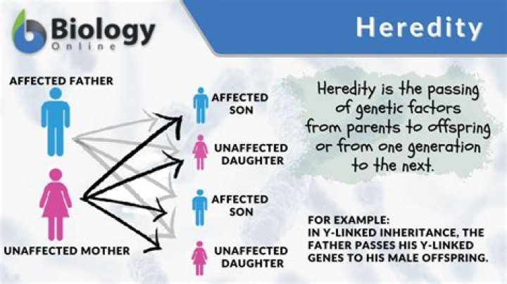 What is a hereditary factor?
