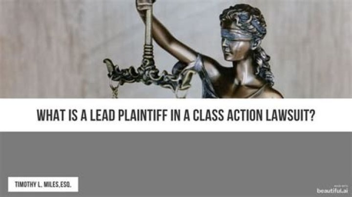 What is a lead plaintiff?