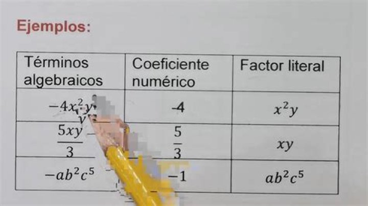 What is a literal factor?