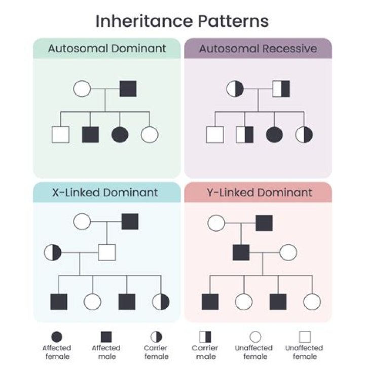 What is a major problem with inheritance?
