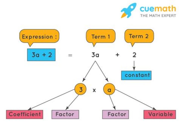 What is a numerical factor of a term that contains a variable?