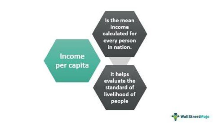 What is a per cap payment?