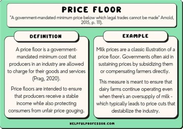 What is a price floor give an example?