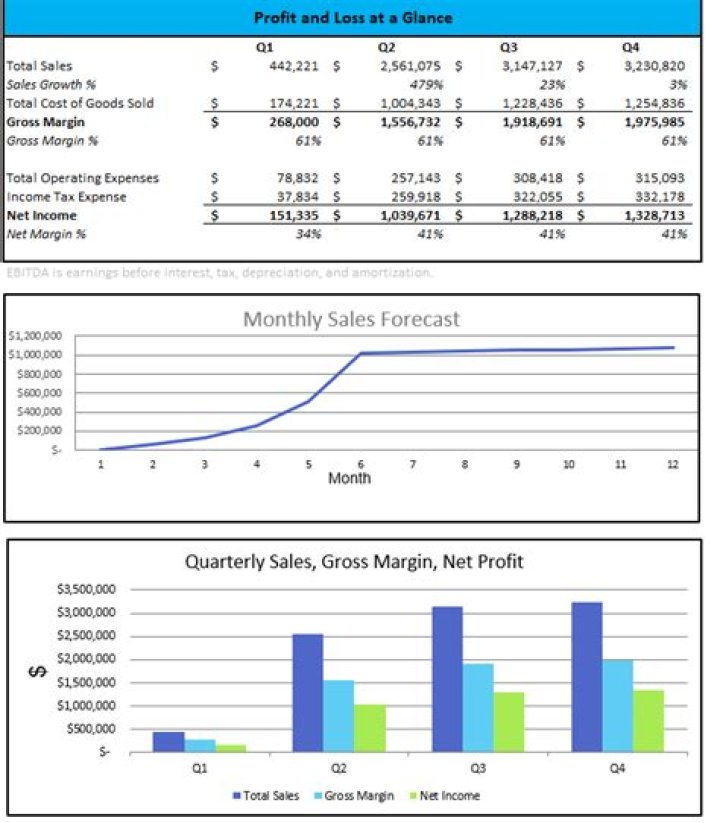 What is a pro forma financial projection?