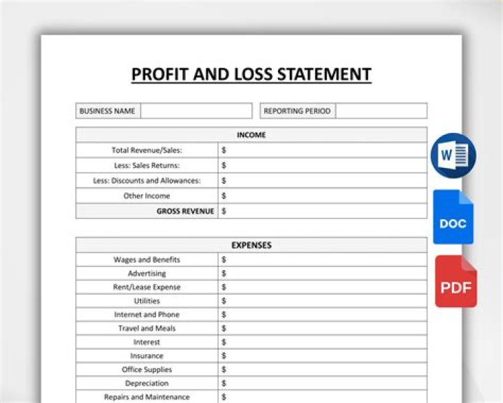 What is a profit and loss system?