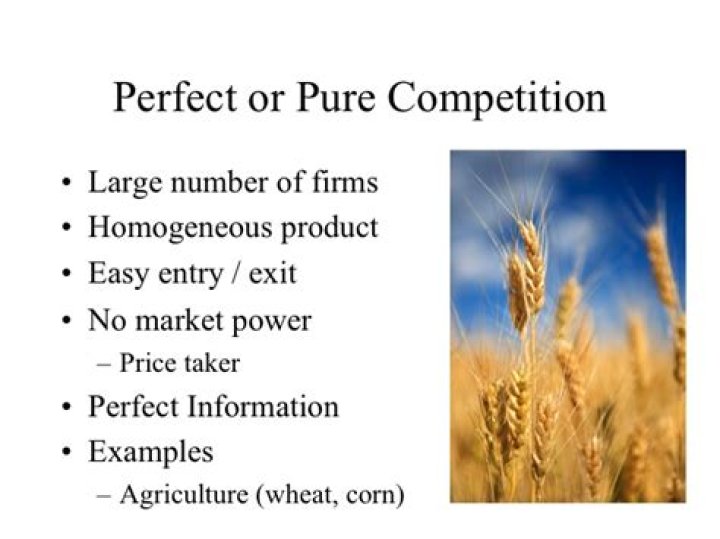 What is a pure competition market structure?