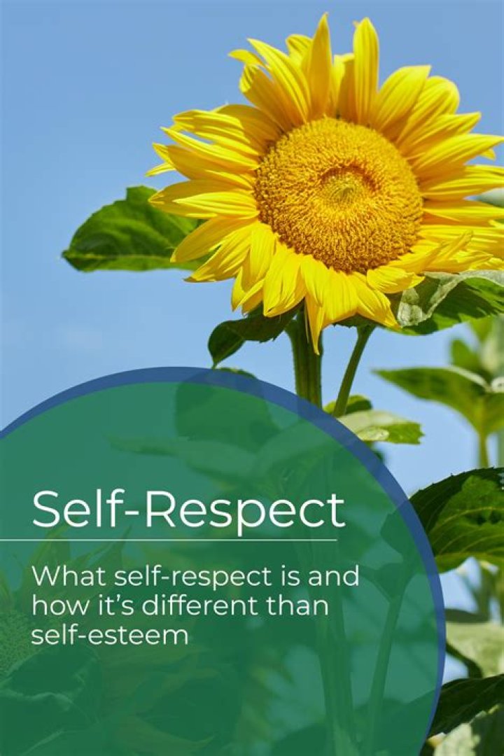 What is a self-funded TPA?