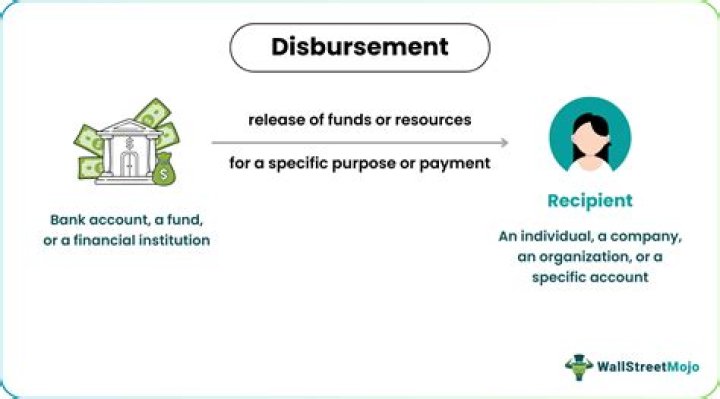 What is a stock disbursement?