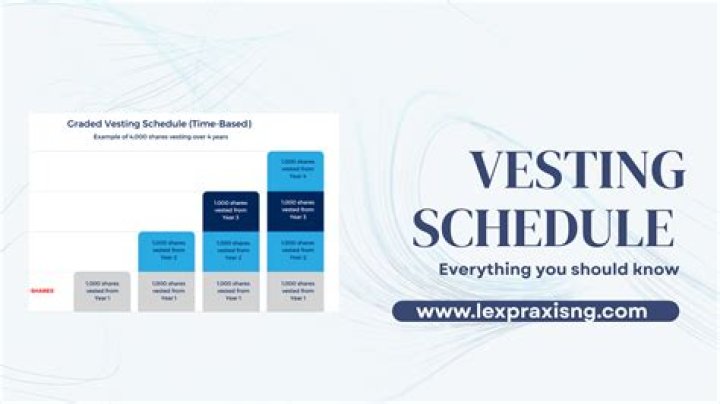 What is a typical vesting schedule?
