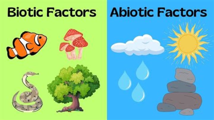 What is an example of a biotic factor?