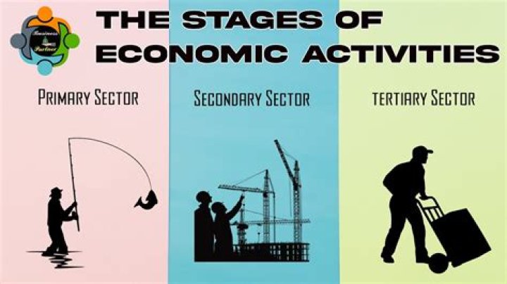 What is an example of a primary economic activity?