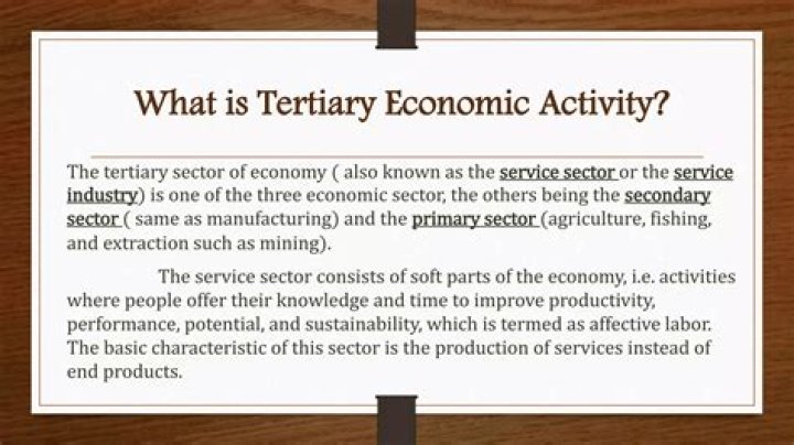 What is an example of a tertiary economic activity?