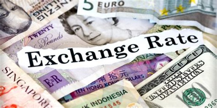 What is an exchange in economics?