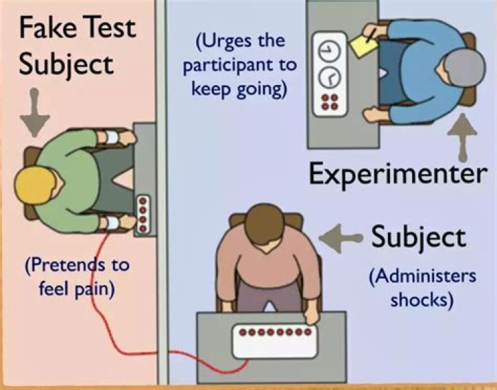 What is an experiment that tests only one factor?