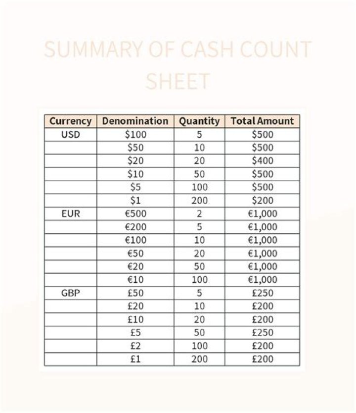 What is cash summary sheet?