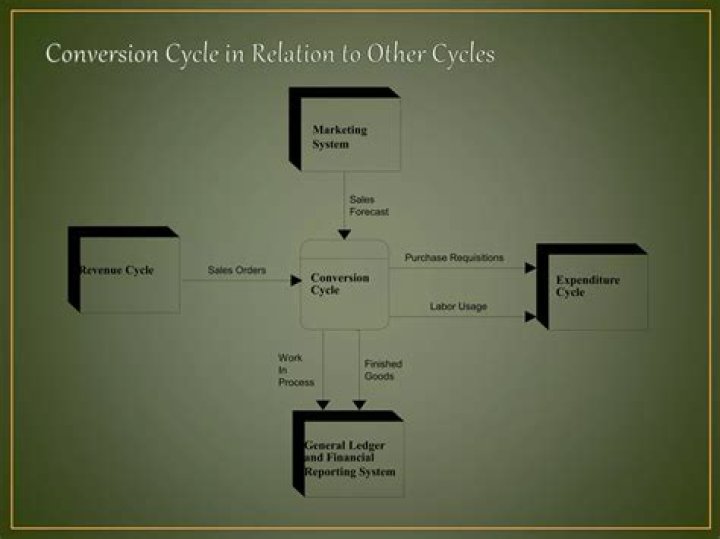 What is conversion cycle in AIS?
