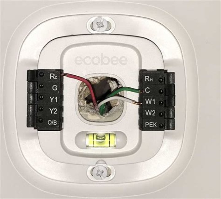What is DM offset ecobee?