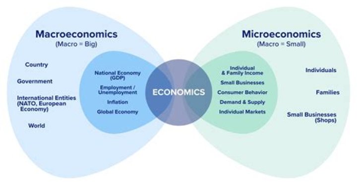 What is economics as a whole?