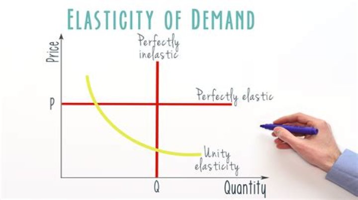 What is elasticity of demand explain?