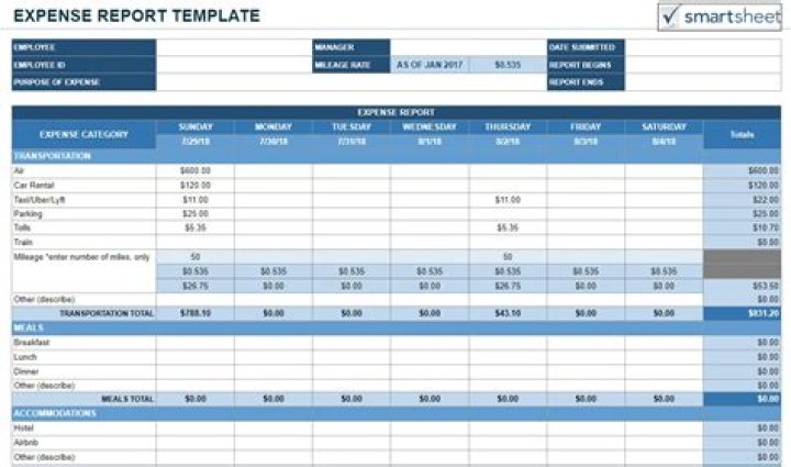 What is expense report in Excel?