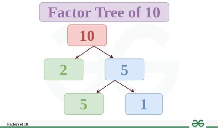 What is factor 10 called?