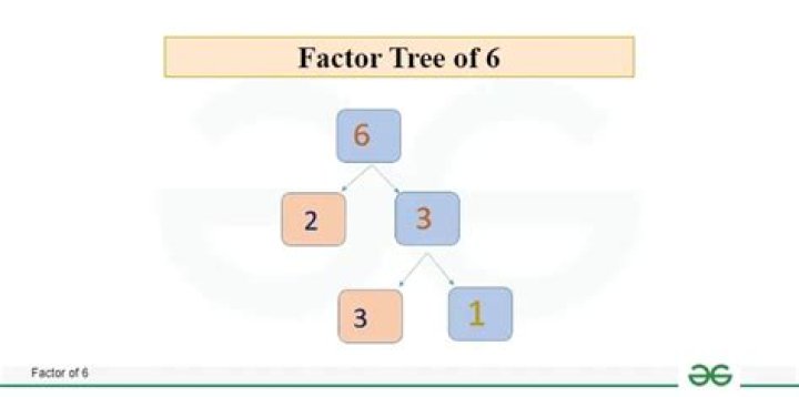 What is factor tree for Class 5?