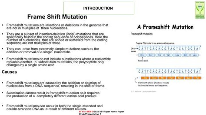 What is frameshift mutation How does it affect function of a protein?
