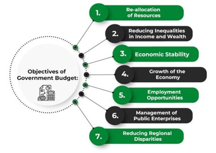 What is government operating budget?