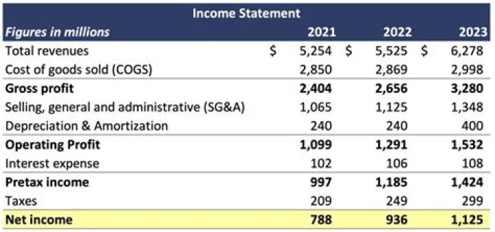 What is included in a multi-step income statement?