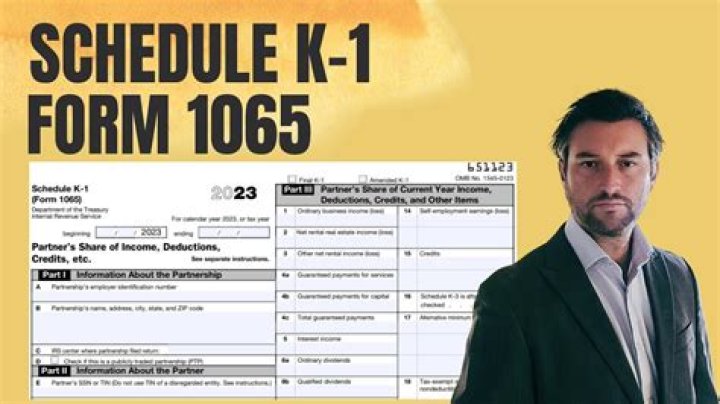 What is IRS Schedule k1 form 1065 2019?