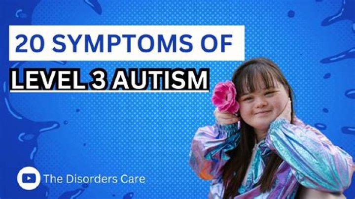 What is Level 3 autistic?
